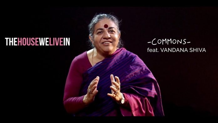 Ils transforment les luttes écologistes en spectacles audio-visuels saisissants