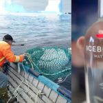 67533371_2884515501564837_8