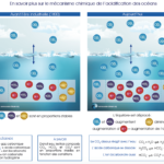 acidification-des-oceans-1
