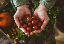 Deux Angevins ouvrent leur ferme et son hall alimentaire en pleine ville