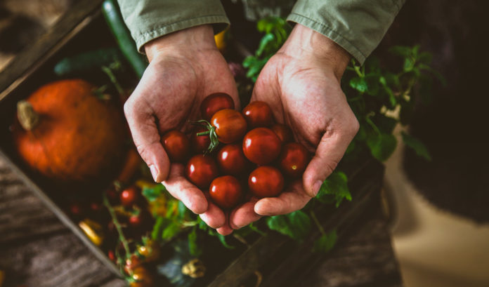 Deux Angevins ouvrent leur ferme et son hall alimentaire en pleine ville