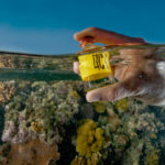 ocnpsb6_rm134224343_2400