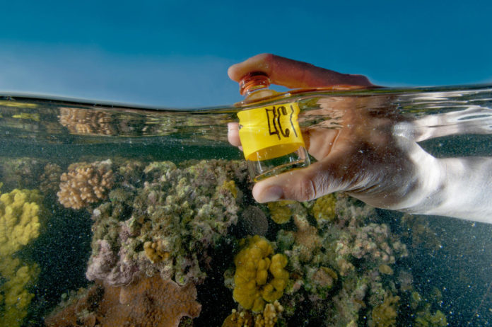 Comprendre l’acidification des océans pour éviter l’extinction de masse