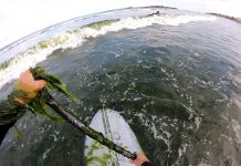 « Si on ne veut plus avoir d’algues vertes, il faut produire moins. Il faut décroître »