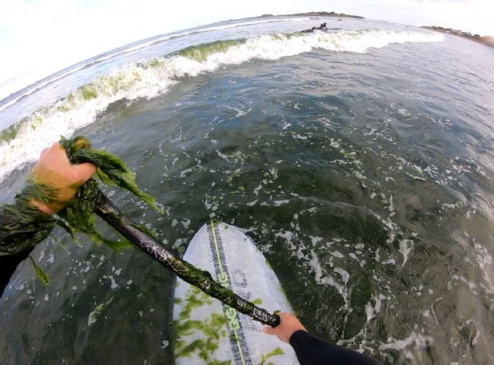 « Si on ne veut plus avoir d’algues vertes, il faut produire moins. Il faut décroître »