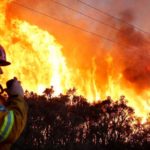 49316457703_2c832e63f3_o