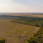 DJI_0255web Aroconjnadi