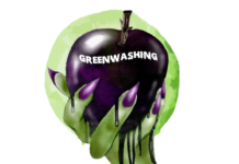 La voiture électrique, illustration parfaite du mythe de la croissance verte