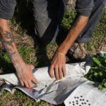 8_Alternative_japan_DL-