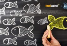 Pêche : un kit distribué dans les écoles désinforme les enfants