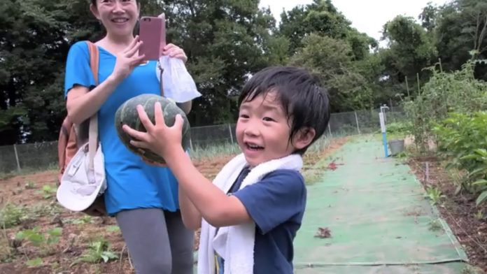 Fujino, la ville japonaise en transition écologique