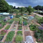 our own garden.  – kopie