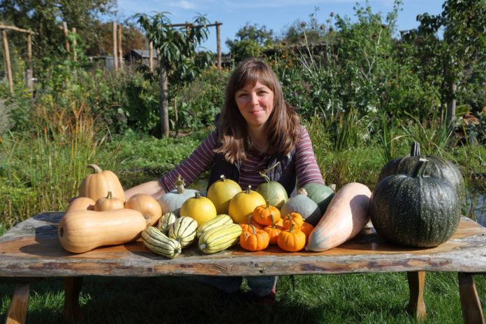 Pourquoi créer un jardin communautaire avec l’exemple de Vera Greutink
