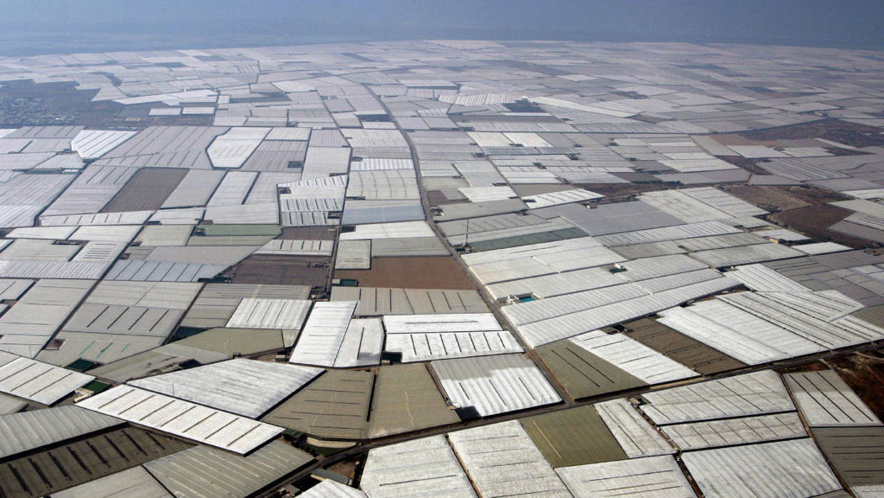 Agriculture intensive : comment l'Andalousie se transforme en désert