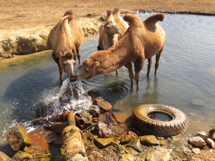 Kazakhstan : « Quand la Terre Avala la Mer » (Film)