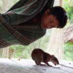 Copyright J.ORAIN Association Amazônia . 1 .Enfant Ashaninka et Paca