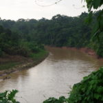 Copyright J.ORAIN Association Amazônia . 18 . Paysage Village Apiwtxa Rio Amônia