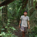 Copyright J.ORAIN Association Amazônia . 19 . Jeune Ashaninka Retour de la roça sur chemin forestier