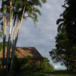 Copyright J.ORAIN Association Amazônia . 6 .Village Ashaninka Apiwtxa