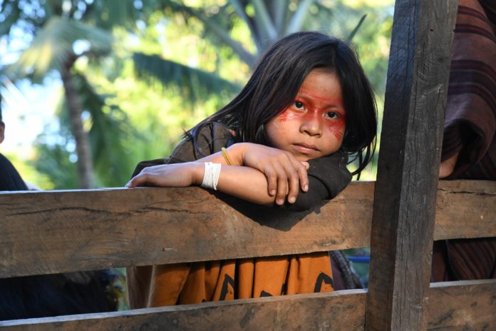 Brésil : un nouveau projet de loi menace l’Amazonie et ses peuples