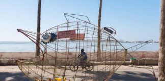 Au Sénégal, des poissons géants gobent le plastique