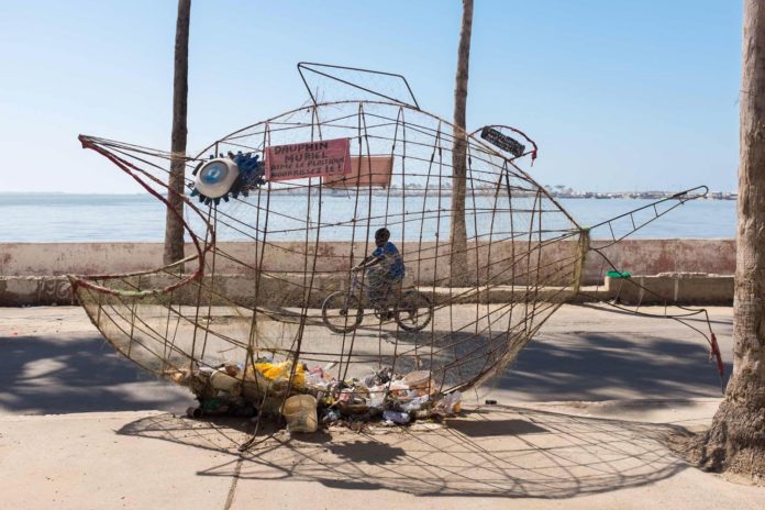 Au Sénégal, des poissons géants gobent le plastique