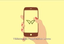 Lowco, l’app belge pour localiser les commerces locaux en transition écologique