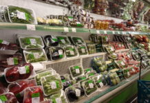 Le coronavirus reste actif jusqu’à 7 jours sur du plastique !