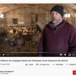 ARTICLE_FR3
