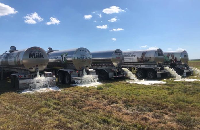 Covid-19 : des tonnes d’aliments détruits questionnent la mondialisation