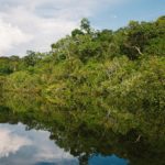 nathalia-segato-8fLSrccoox0-unsplash