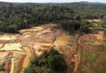 Guyane : un nouveau projet de mine d’or menace l’écosystème