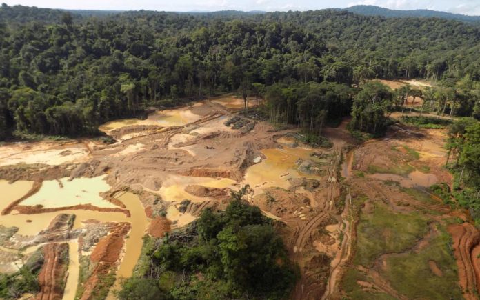 Guyane : un nouveau projet de mine d’or menace l’écosystème