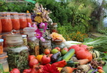 Le Potager Permacole, une revue numérique pour accompagner la transition