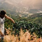 Ninho da Aguia 2_Clayton Barossa