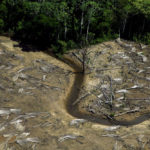 10_baixa.DEAMATAMENTO              AMAZONIA_Alberto     Cesar Araujo.150