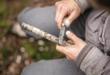 « Sculpter la forêt » : ou comment créer en harmonie avec la Nature