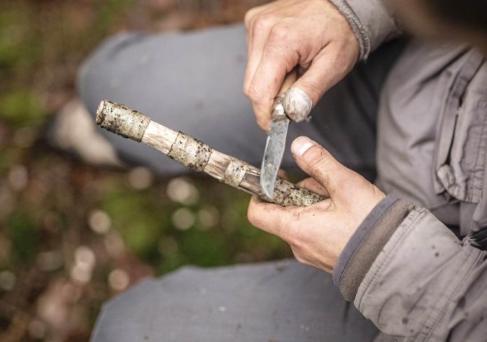 « Sculpter la forêt » : ou comment créer en harmonie avec la Nature