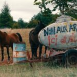 87616d10-c3ec-11ec-bd50-75e6f3aa5f30