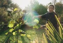 « AGO » : le web-documentaire interactif d’alternatives écologiques