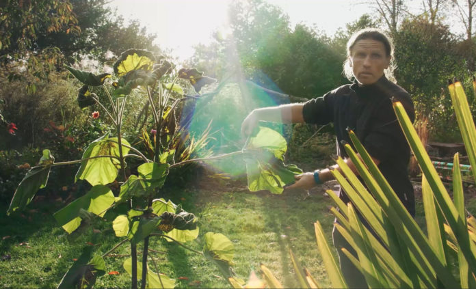 « AGO » : le web-documentaire interactif d’alternatives écologiques