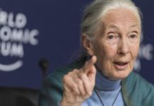 25 articles à ne pas rater en 2020 sur Mr Mondialisation