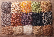 Commerce des semences : une législation pensée pour l’industrie (Podcast)