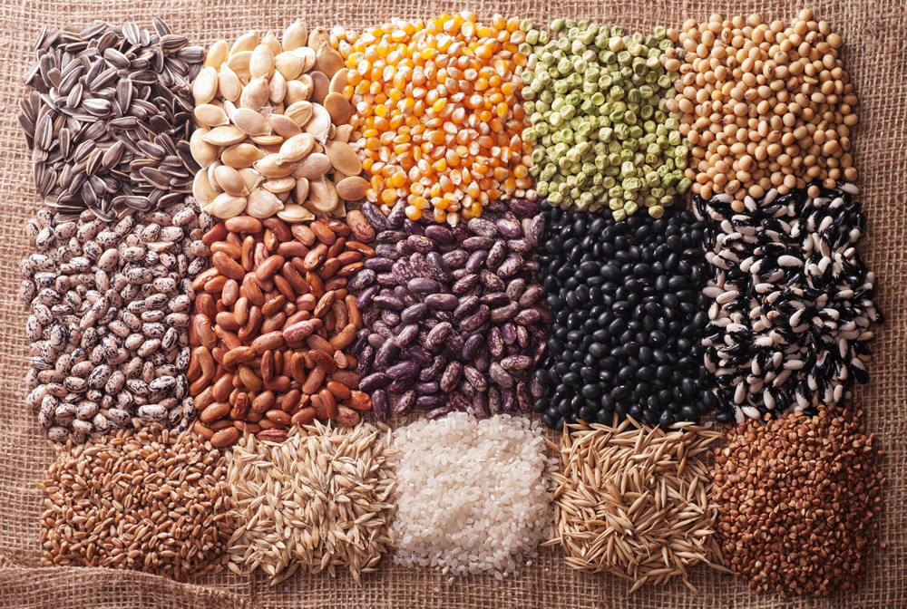 Commerce des semences : une législation pensée pour l'industrie (Podcast)