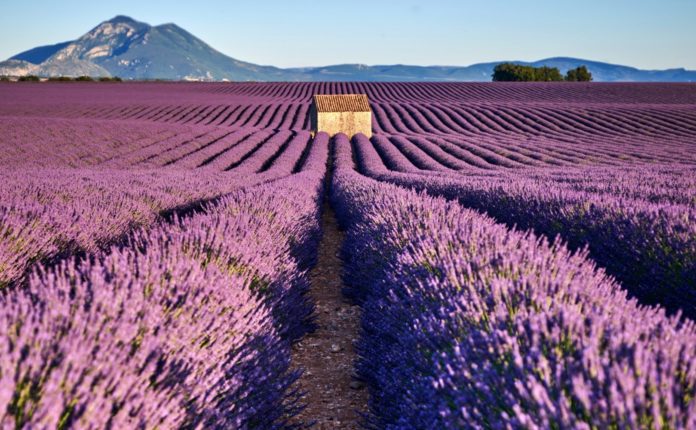 Lettre aux futurs vacanciers : et si le confinement nous avait appris à voyager autrement ?