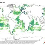 Global fishing watch