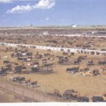 big_artfichier_243973_6958210_201702224534889