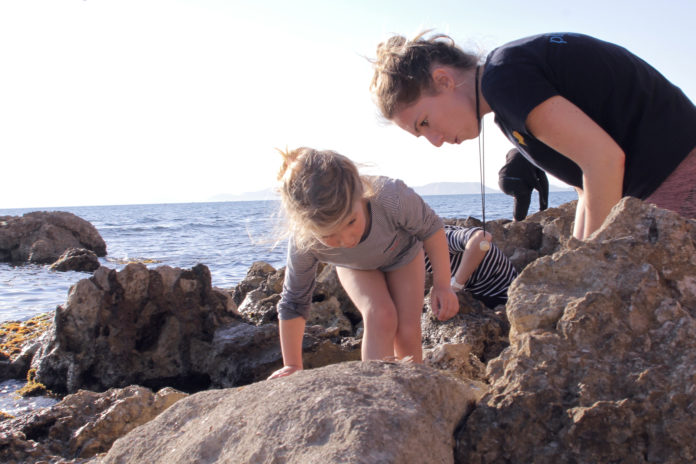 Appel aux citoyens pour évaluer la biodiversité du littoral français