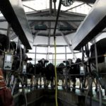 Eloy Alonso – Reuters