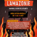 framovilizacion-amazonia-1